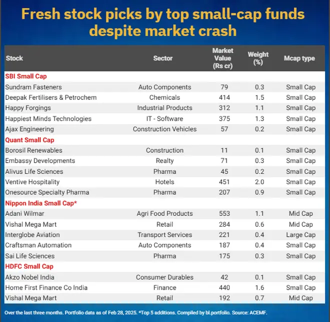 New stocks bought by smallcap funds